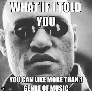 matrix what if i told you that you could like or listen to more than one genre of music?